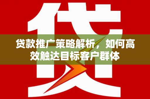 龙城贷款推广策略解析，如何高效触达目标客户群体