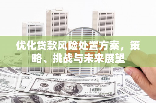 龙城优化贷款风险处置方案，策略、挑战与未来展望