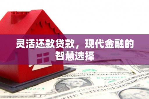 龙城灵活还款贷款，现代金融的智慧选择