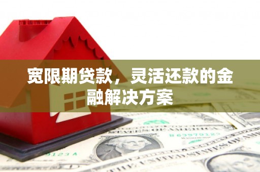 龙城宽限期贷款，灵活还款的金融解决方案