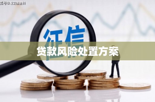 龙城贷款风险处置方案