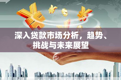 龙城深入贷款市场分析，趋势、挑战与未来展望