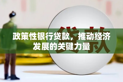 龙城政策性银行贷款，推动经济发展的关键力量
