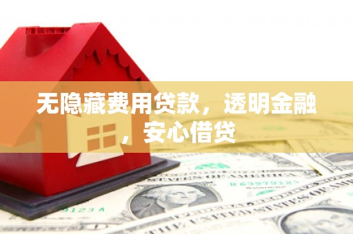 龙城无隐藏费用贷款，透明金融，安心借贷