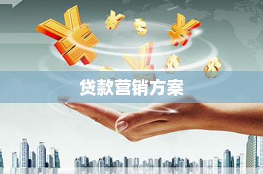 龙城贷款营销方案