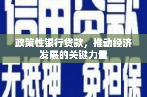 龙城政策性银行贷款，推动经济发展的关键力量