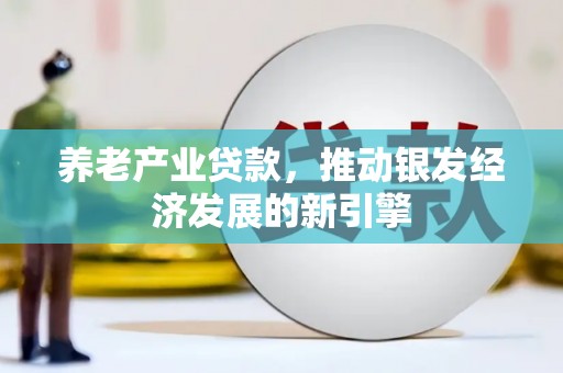 龙城养老产业贷款，推动银发经济发展的新引擎