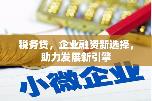 龙城税务贷，企业融资新选择，助力发展新引擎