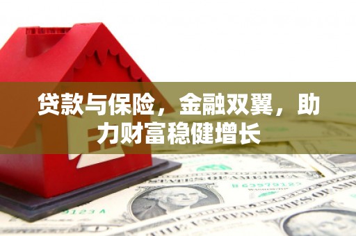 龙城贷款与保险，金融双翼，助力财富稳健增长