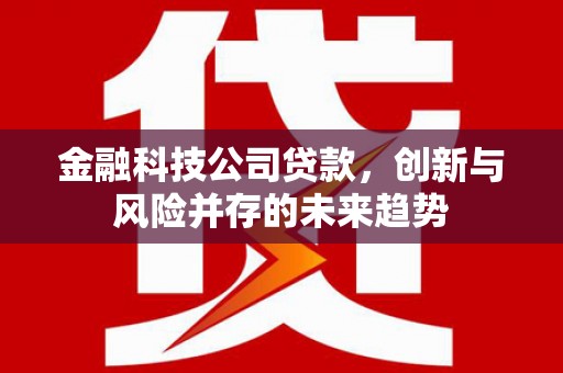 龙城金融科技公司贷款，创新与风险并存的未来趋势