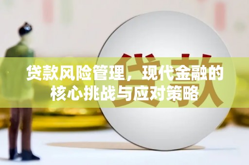 龙城贷款风险管理，现代金融的核心挑战与应对策略