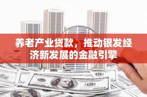 龙城养老产业贷款，推动银发经济新发展的金融引擎