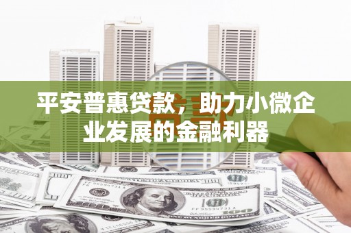 龙城平安普惠贷款，助力小微企业发展的金融利器