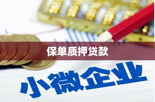 龙城保单质押贷款
