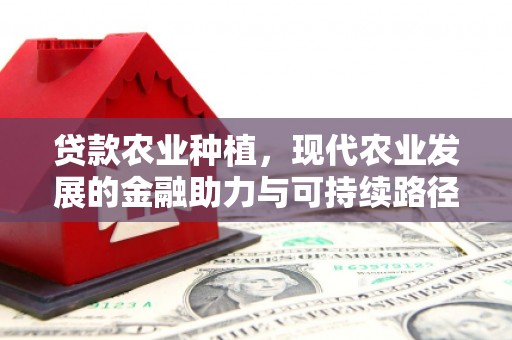 龙城贷款农业种植，现代农业发展的金融助力与可持续路径