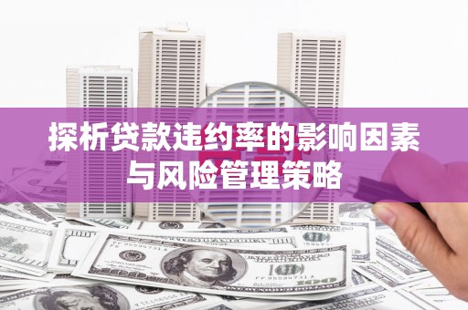 龙城探析贷款违约率的影响因素与风险管理策略