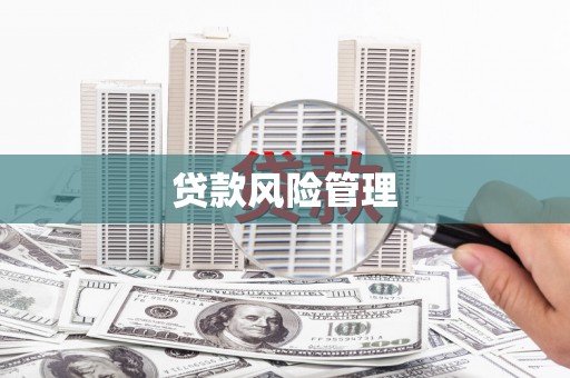 龙城贷款风险管理