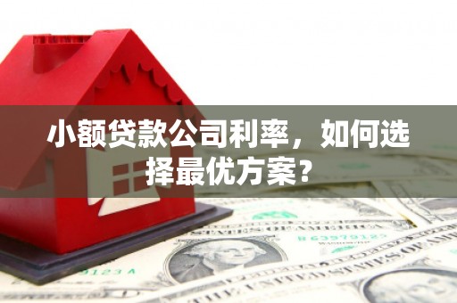 龙城小额贷款公司利率，如何选择最优方案？
