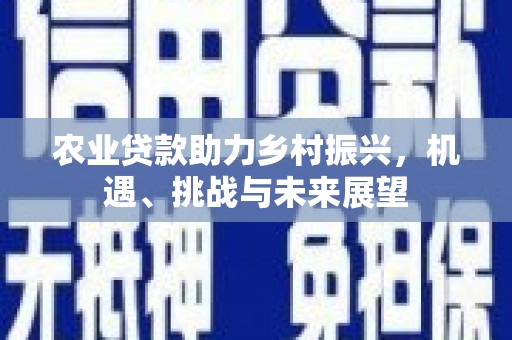 龙城农业贷款助力乡村振兴，机遇、挑战与未来展望
