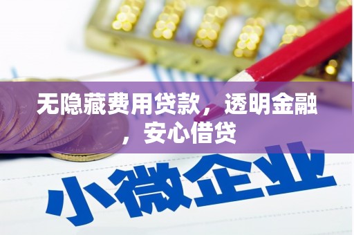 龙城无隐藏费用贷款，透明金融，安心借贷