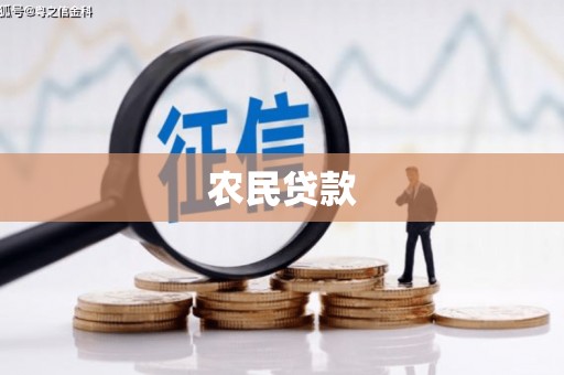 龙城农民贷款