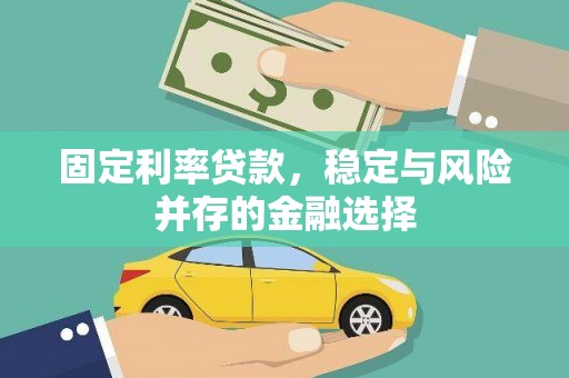 龙城固定利率贷款，稳定与风险并存的金融选择