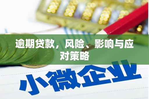 龙城逾期贷款，风险、影响与应对策略