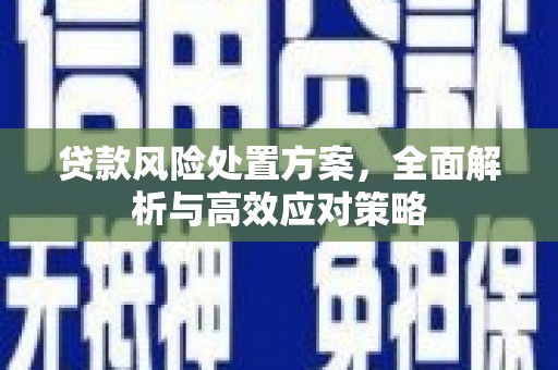 龙城贷款风险处置方案，全面解析与高效应对策略