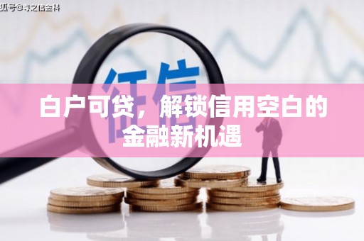 龙城白户可贷，解锁信用空白的金融新机遇