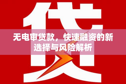龙城无电审贷款，快速融资的新选择与风险解析