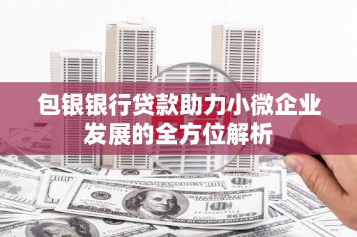龙城包银银行贷款助力小微企业发展的全方位解析