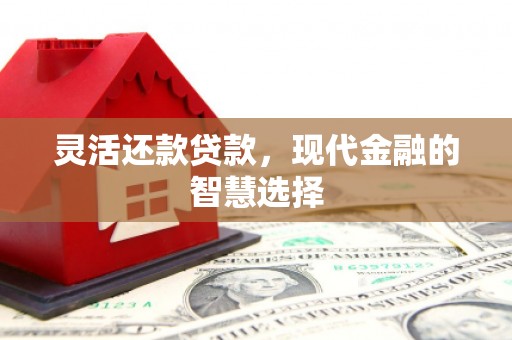 龙城灵活还款贷款，现代金融的智慧选择