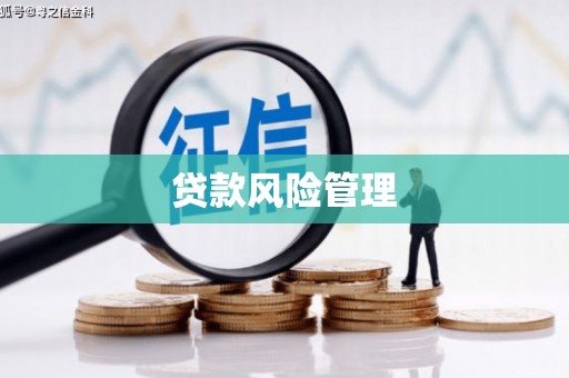 龙城贷款风险管理