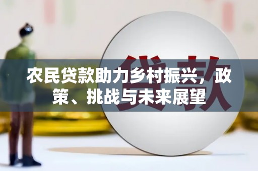 龙城农民贷款助力乡村振兴，政策、挑战与未来展望