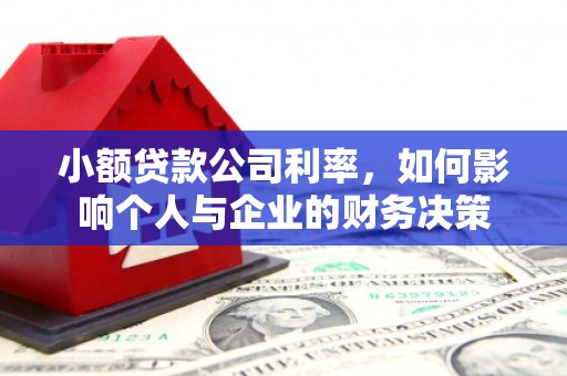 龙城小额贷款公司利率，如何影响个人与企业的财务决策