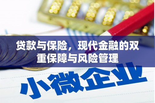 龙城贷款与保险，现代金融的双重保障与风险管理
