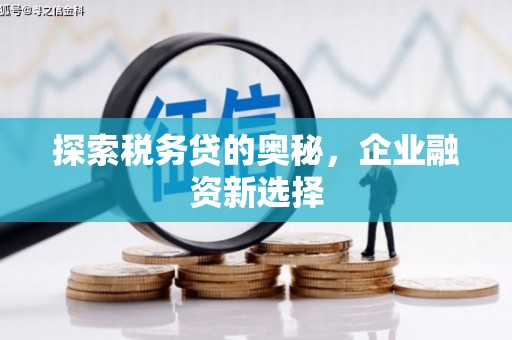 龙城探索税务贷的奥秘，企业融资新选择