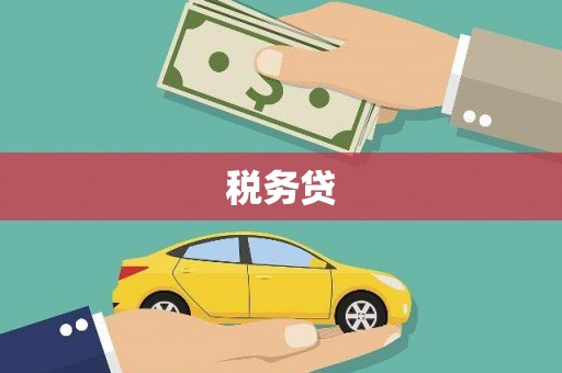 龙城税务贷