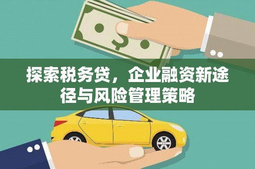 龙城探索税务贷，企业融资新途径与风险管理策略