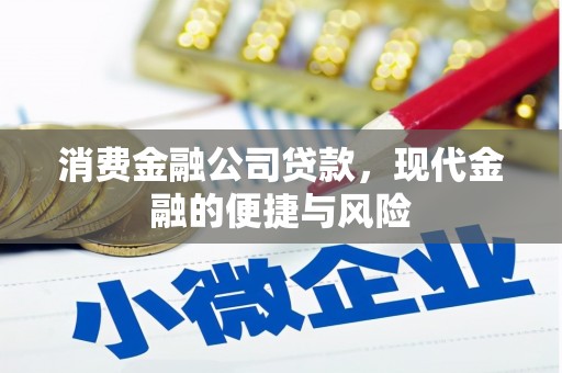 龙城消费金融公司贷款，现代金融的便捷与风险