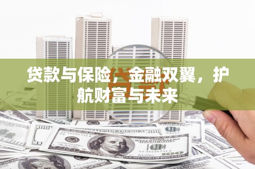 龙城贷款与保险，金融双翼，护航财富与未来