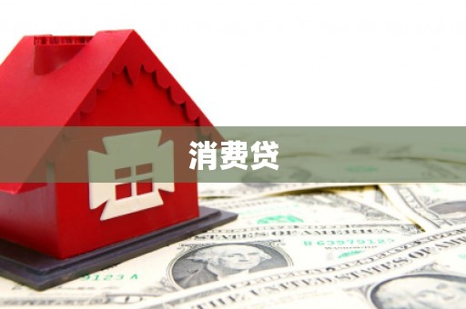 龙城消费贷