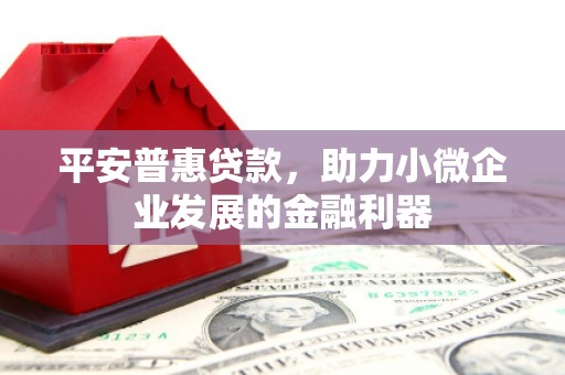 龙城平安普惠贷款，助力小微企业发展的金融利器