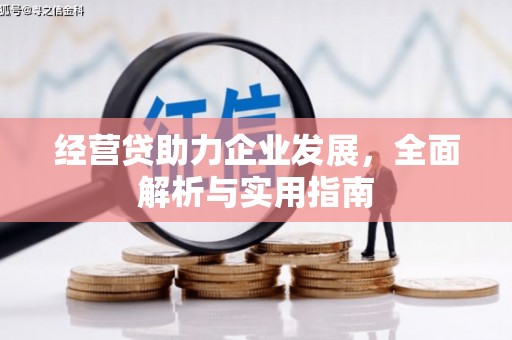 龙城经营贷助力企业发展，全面解析与实用指南