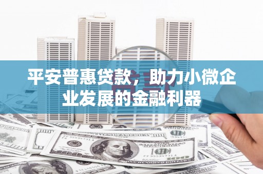 龙城平安普惠贷款，助力小微企业发展的金融利器