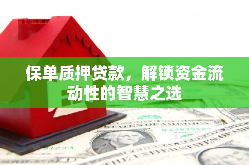 龙城保单质押贷款，解锁资金流动性的智慧之选