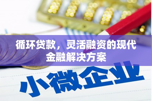龙城循环贷款，灵活融资的现代金融解决方案