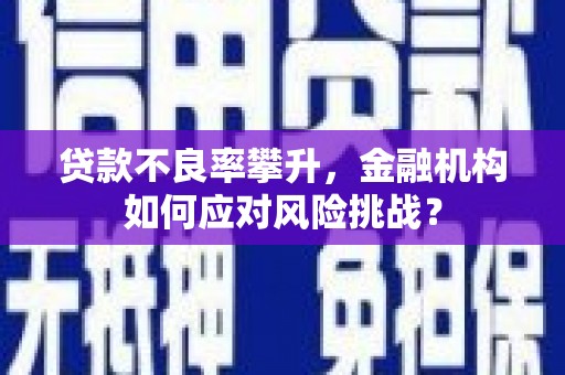 龙城贷款不良率攀升，金融机构如何应对风险挑战？