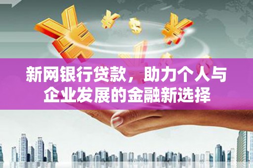 龙城新网银行贷款，助力个人与企业发展的金融新选择