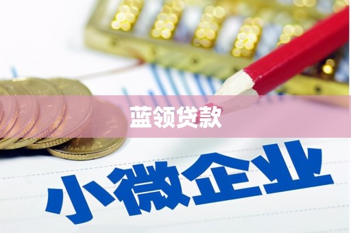 龙城蓝领贷款